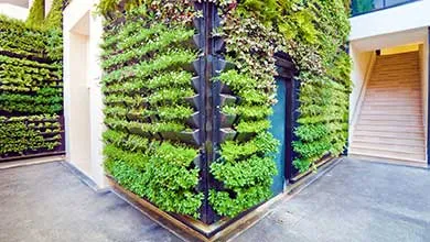 A building corner features a lush vertical garden in tiered black planters. To the right, a wooden staircase is visible through an opening.