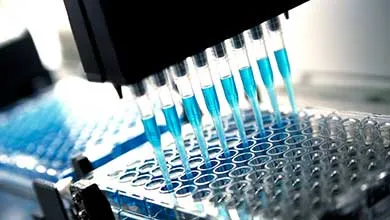 Close-up of a multi-channel pipette dispensing bright blue liquid into a laboratory well plate.