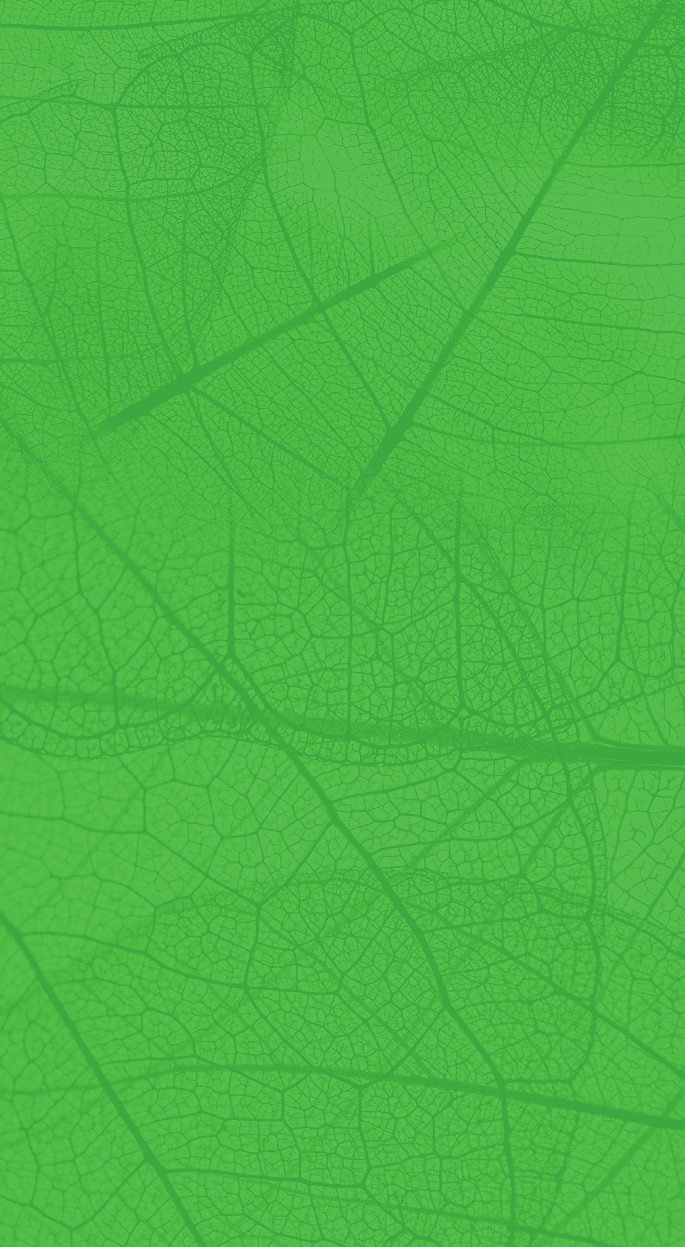 green foliage texture