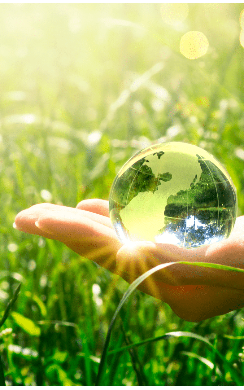 Earth crystal glass globe in human hand on grass background  Saving environment and clean green planet concept  Card for World Earth Day concept 